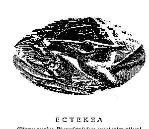 Иллюстрация к книге — Возвращение в Эдем [Return-to-Eden-3.png]