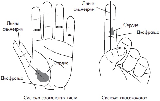 Иллюстрация к книге — Су-Джок. Самодиагностика и лечение [Autogen_eBook_id15.jpg]