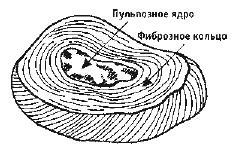 Иллюстрация к книге — Кинезитерапия суставов и позвоночника [i_004.jpg]