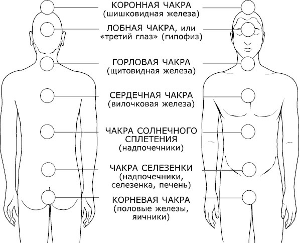 Как видеть и читать ауру