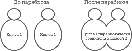 Иллюстрация к книге — Дело не в калориях. Как не зависеть от диет, не изнурять себя фитнесом, быть в отличной форме и жить лучше [i_029.jpg]