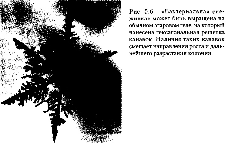 Иллюстрация к книге — Критическая масса. Как одни явления порождают другие [img_16.jpg]