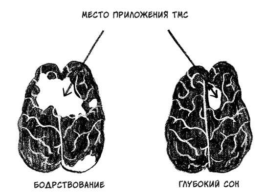 Иллюстрация к книге — О том, чего мы не можем знать. Путешествие к рубежам знаний [i_074.jpg]