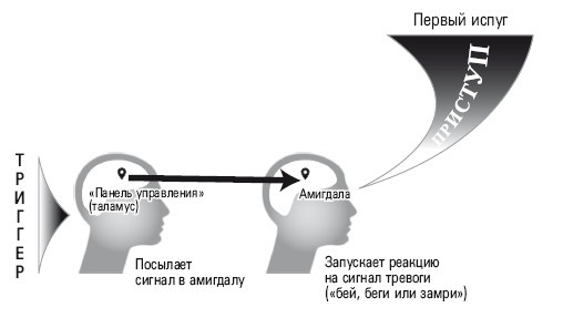 Иллюстрация к книге — Избавление от навязчивых мыслей. Руководство по преодолению стресса и тревоги [i_002.jpg]