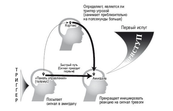 Иллюстрация к книге — Избавление от навязчивых мыслей. Руководство по преодолению стресса и тревоги [i_005.jpg]