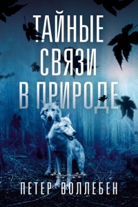 Книга Тайные связи в природе Книга Тайные связи в природе