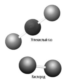 Иллюстрация к книге — Взламывая анатомию [image138.jpg]