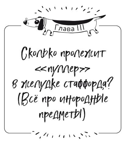 Иллюстрация к книге — Разумное собаководство. Советы ветеринара, как воспитать и вырастить щенка здоровым [i_016.jpg]