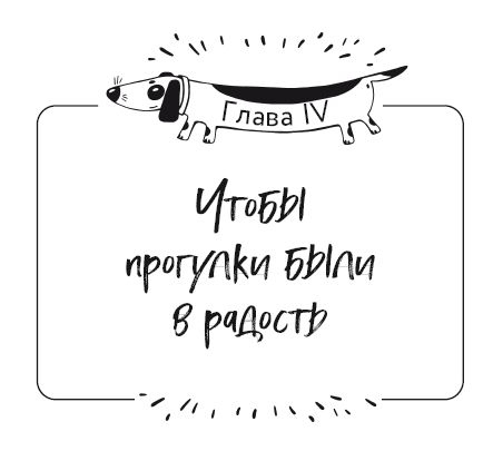 Иллюстрация к книге — Разумное собаководство. Советы ветеринара, как воспитать и вырастить щенка здоровым [i_022.jpg]