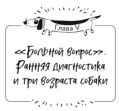 Иллюстрация к книге — Разумное собаководство. Советы ветеринара, как воспитать и вырастить щенка здоровым [i_030.jpg]