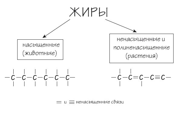 Как химичит наш организм: принципы правильного питания Как химичит наш организм: принципы правильного питания