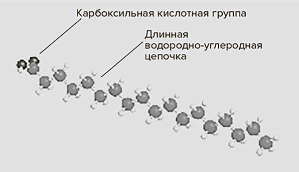 Молодость навсегда. Как замедлить процессы старения и сохранить здоровье