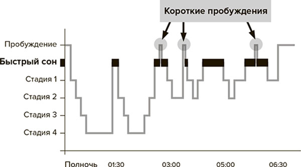 Молодость навсегда. Как замедлить процессы старения и сохранить здоровье