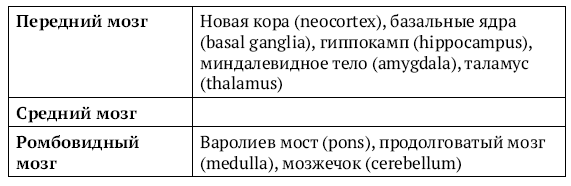 Мозг и разум в эпоху виртуальной реальности