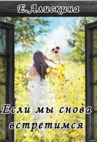 Книга Если мы снова встретимся