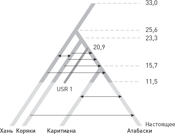 Эволюция человека. Книга 3. Кости, гены и культура