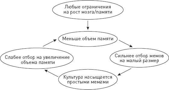 Эволюция человека. Книга 3. Кости, гены и культура