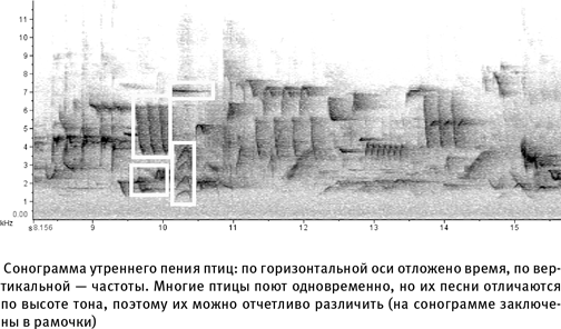 Путеводитель зоолога по Галактике. Что земные животные могут рассказать об инопланетянах – и о нас самих