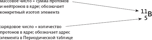 Химия навсегда. О гороховом супе, опасности утреннего кофе и пробе мистера Марша