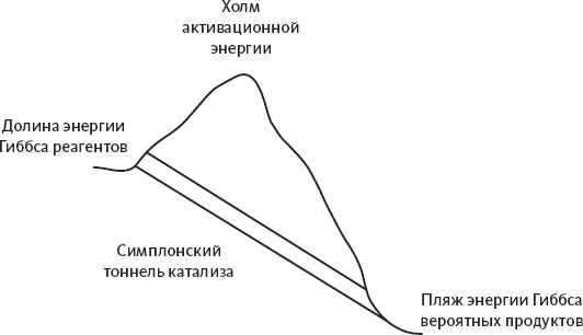 Химия навсегда. О гороховом супе, опасности утреннего кофе и пробе мистера Марша