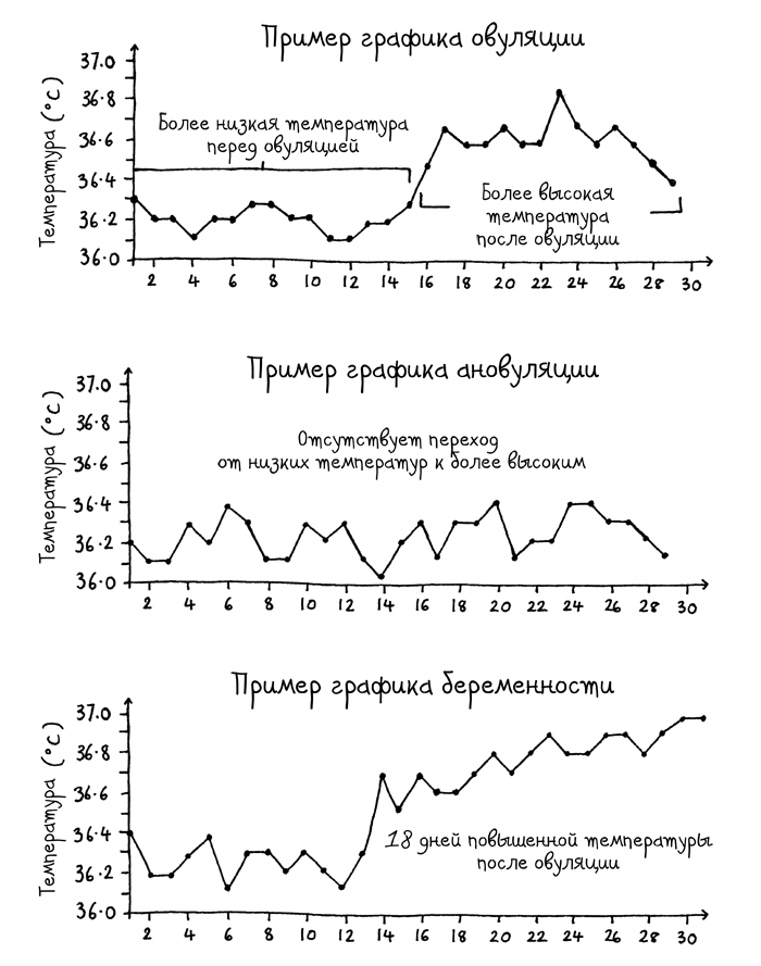 Признаки беременности - Клиника Здоровье г. Екатеринбург