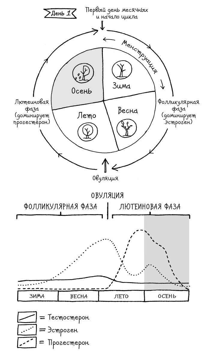 Сила цикла. Как использовать непостоянство гормонов, чтобы жить на полную