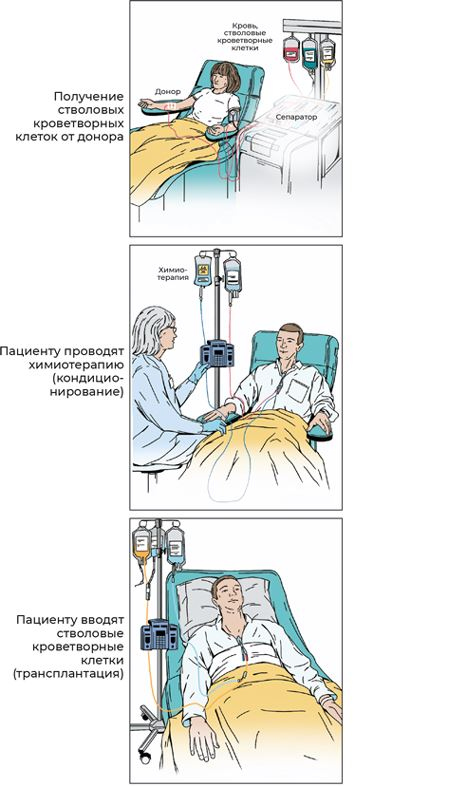 Пять литров красного. Что необходимо знать о крови, ее болезнях и лечении