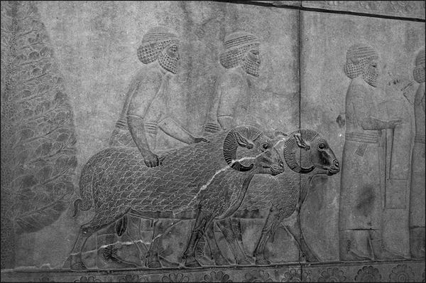 Древняя Персия и ее тайны