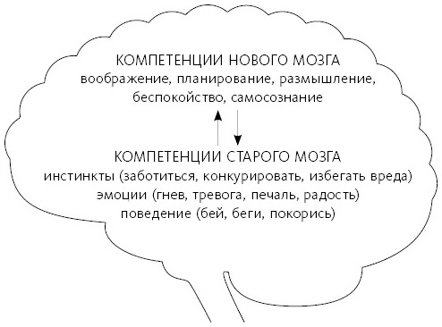 Любовь живет вечно. Как преодолевать сложности и сохранять близость в длительных отношениях