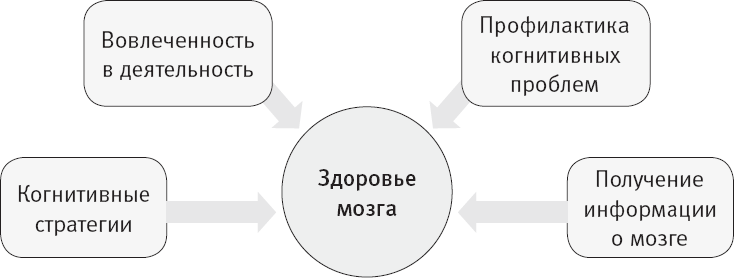 Таблетка для мозга. Программа по восстановлению памяти и активизации когнитивных способностей