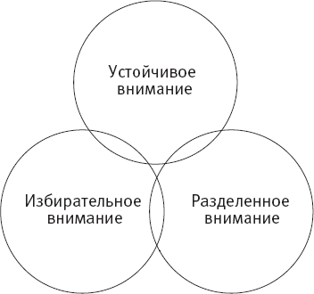 Таблетка для мозга. Программа по восстановлению памяти и активизации когнитивных способностей