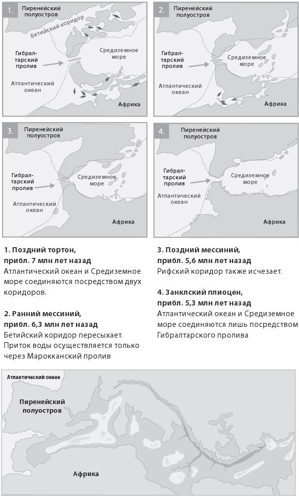 Как мы стали людьми. Поиски истоков человечества