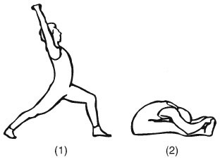 Сердце йоги. Принципы построения индивидуальной практики. «Йога-сутры» Патанджали. «Йоганджалисара» Шри Кришнамачарья