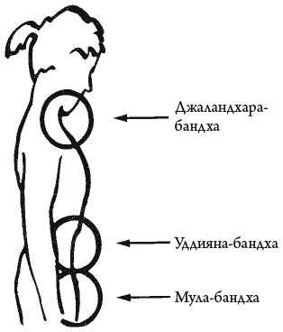 Сердце йоги. Принципы построения индивидуальной практики. «Йога-сутры» Патанджали. «Йоганджалисара» Шри Кришнамачарья