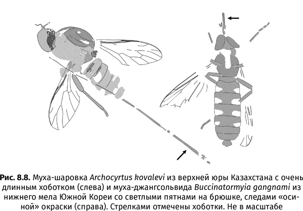 Краткая история насекомых. Шестиногие хозяева планеты