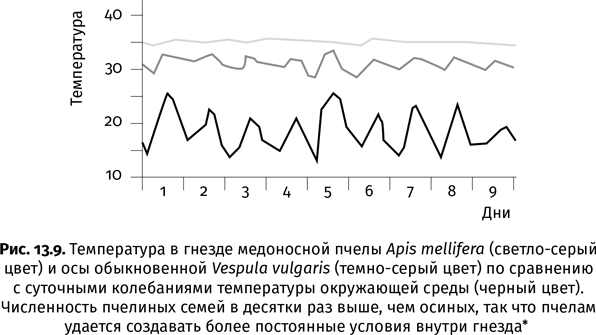 Краткая история насекомых. Шестиногие хозяева планеты