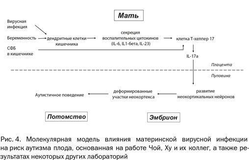 Почему люди разные. Научный взгляд на человеческую индивидуальность