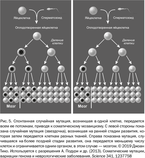 Почему люди разные. Научный взгляд на человеческую индивидуальность