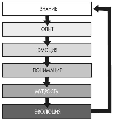 Развивай свой мозг. Как перенастроить разум и реализовать собственный потенциал