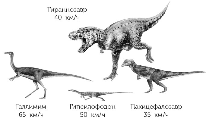 Краткая история динозавров