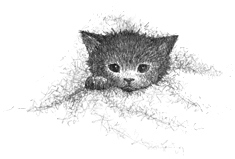 Котёнок Клякса, или Загадка привидения