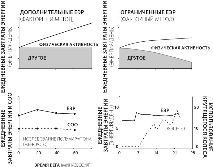 Sapiens на диете. Всемирная история похудения, или Антропологический взгляд на метаболизм