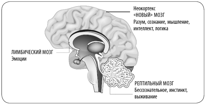 Пульт от отношений. Как переключить личную жизнь с режима черной полосы на белую