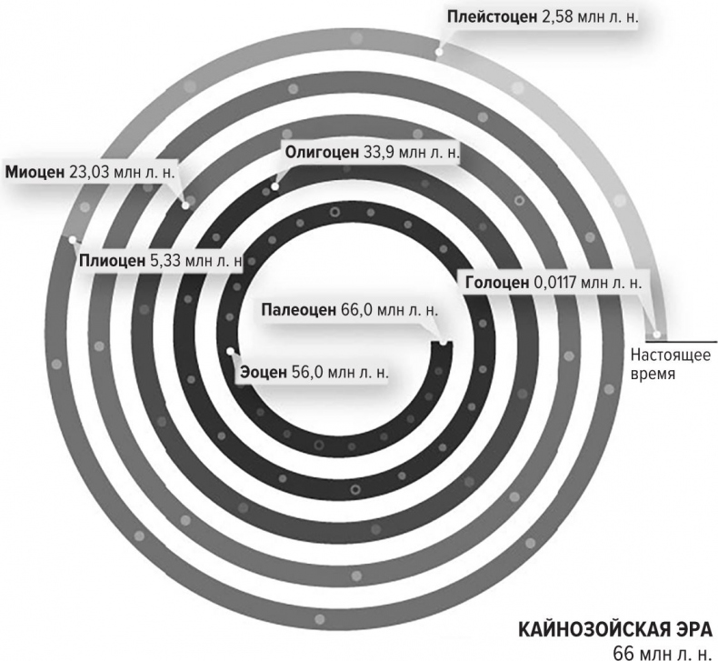 Цифры не лгут. 71 факт, важный для понимания всего на свете