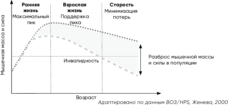 Код долголетия. 12 понятных и доступных способов сохранить здоровье, ясность ума и привлекательность на долгие годы