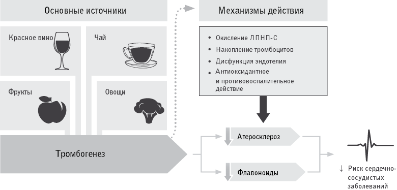 Код долголетия. 12 понятных и доступных способов сохранить здоровье, ясность ума и привлекательность на долгие годы