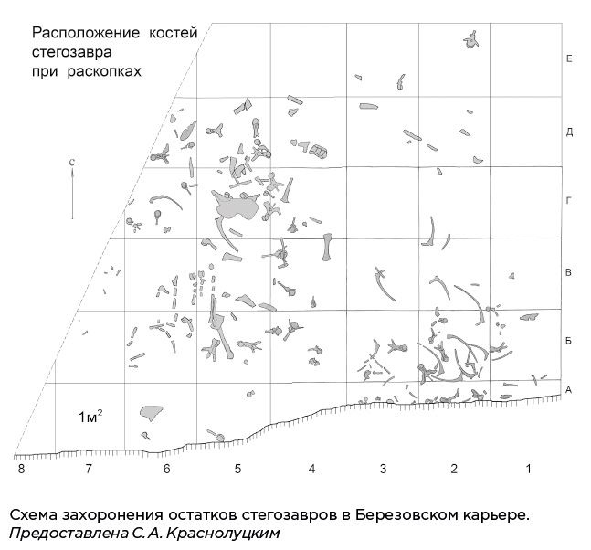 Динозавры России. Прошлое, настоящее, будущее