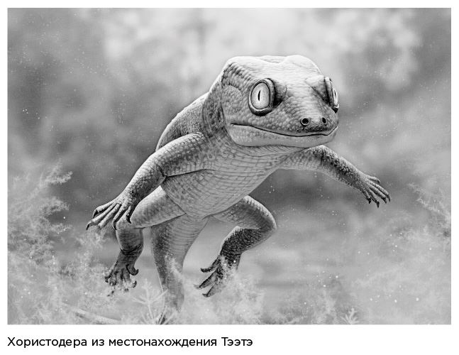Динозавры России. Прошлое, настоящее, будущее