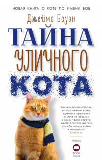 Книга Тайна уличного кота