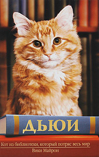 Книга Дьюи. Кот из библиотеки, который потряс весь мир